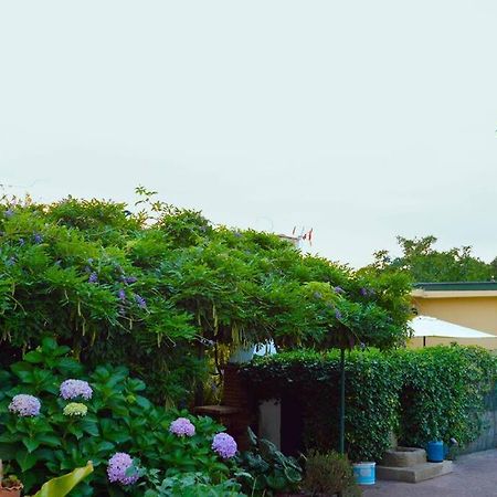A Tintureira Villa São Martinho de Antas Eksteriør bilde