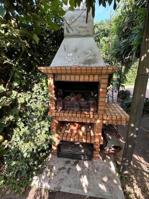 A Tintureira Villa São Martinho de Antas Eksteriør bilde