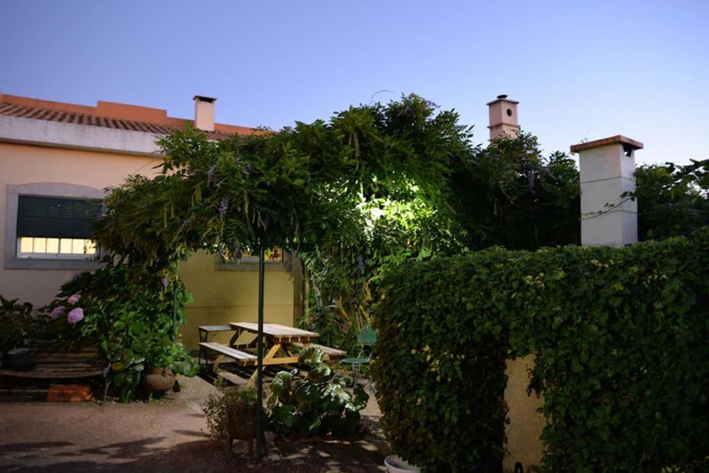 A Tintureira Villa São Martinho de Antas Eksteriør bilde